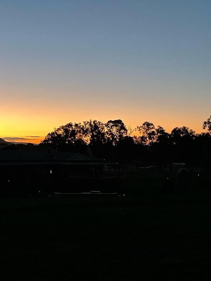 Glenview Alpaca Farm Hotel Yass Luaran gambar