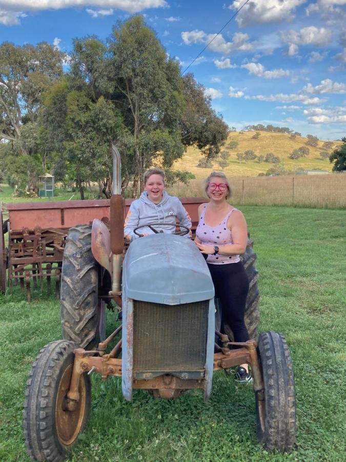 Glenview Alpaca Farm Hotel Yass Luaran gambar